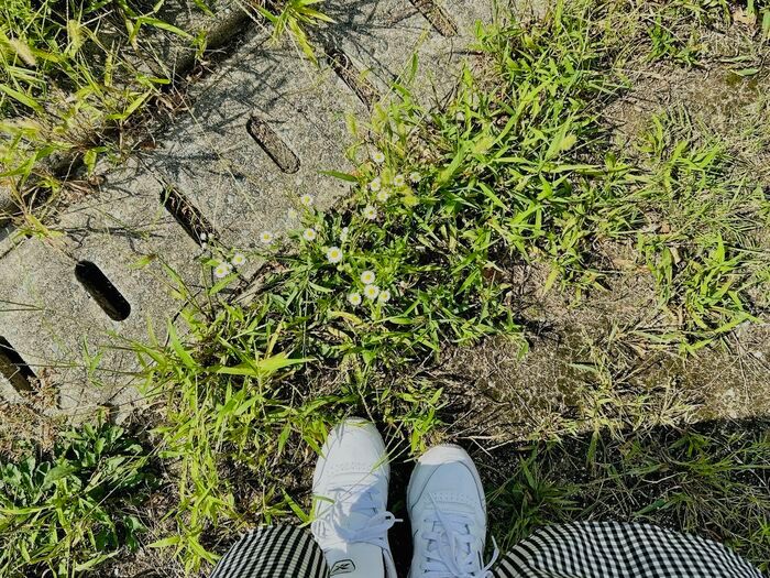 段ボールの端切れを持ってお散歩したら…とんでもなくかわいいモノができあがりました♡