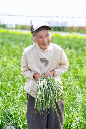 生活クラブの冷凍餃子がリニューアル！丹精國鶏と平田牧場の豚肉をプラスして肉感UP