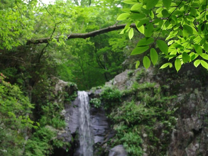 All About ニュース編集部が全国250人を対象に実施した秋に行きたい滝に関するアンケートの調査結果から、「静岡県で秋に行きたい滝」ランキングを発表！ 2位「つるべ落としの滝」を抑えた1位は？