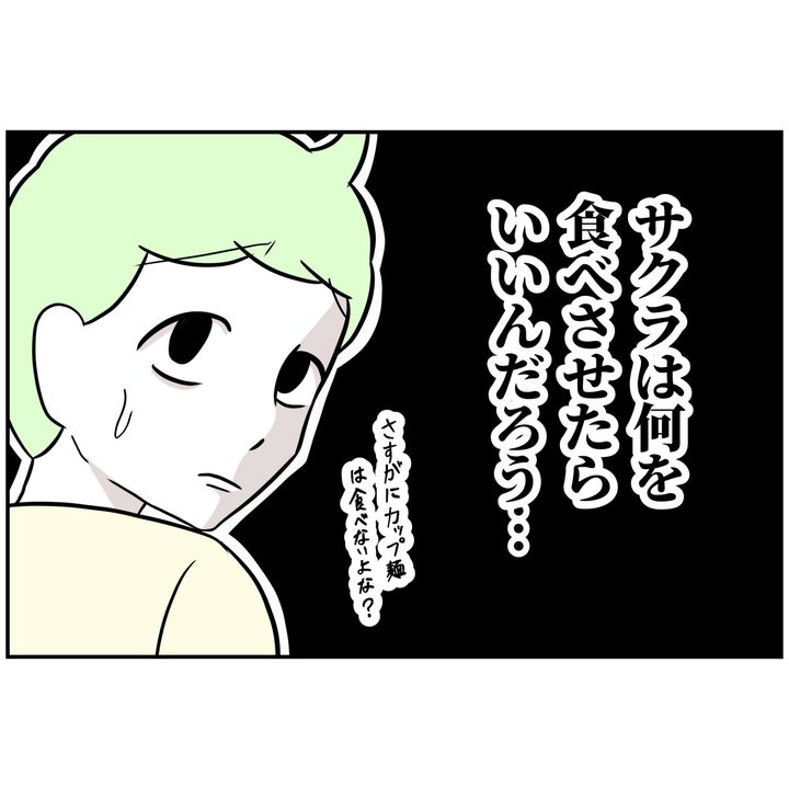 よういち／趣味優先夫