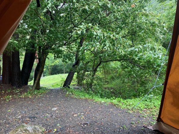 アルペンの“価格崩壊”ギアが最強すぎる！秋キャンプで大活躍する神アイテム5選