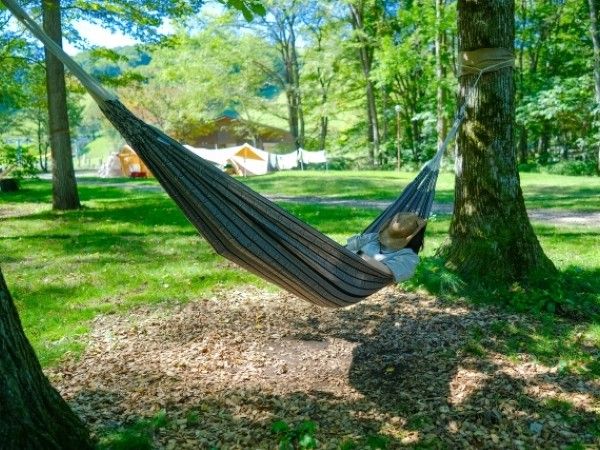 アルペンの“価格崩壊”ギアが最強すぎる！秋キャンプで大活躍する神アイテム5選