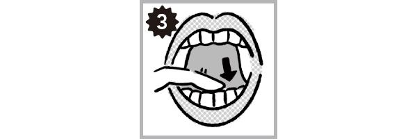 【3】歯の下あたりをほぐす