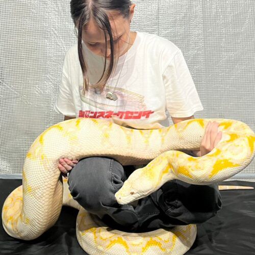 爬虫類ガチ勢、フロサポ、ホラーオタ…モデル中山エマの“推し活”の幅が広すぎ！