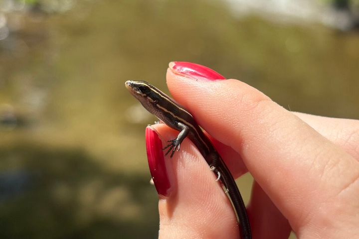 STANFORD所属のモデル・中山エマの好きなもの④動物