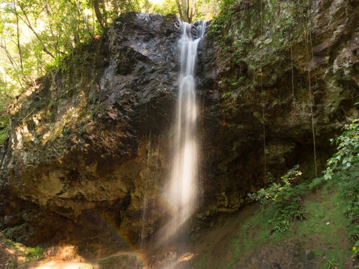 All About ニュース編集部が全国250人を対象に実施した秋に行きたい滝に関するアンケートの調査結果から、「新潟県で秋に行きたい滝」ランキングを発表！ 2位「白玉の滝」を抑えた1位は？