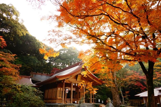 宝満宮竈門神社・紅葉