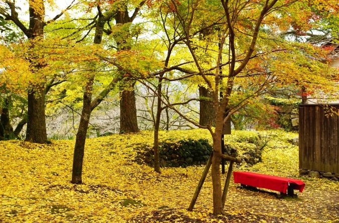 秋月城跡周辺紅葉