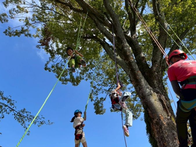 石橋文化センター 「もみじまつり2025」ツリークライミング