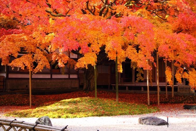 雷山千如寺大悲王院