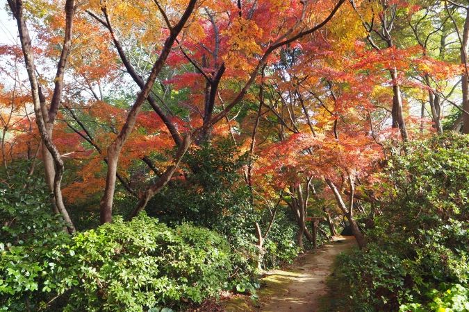 白野江植物公園
