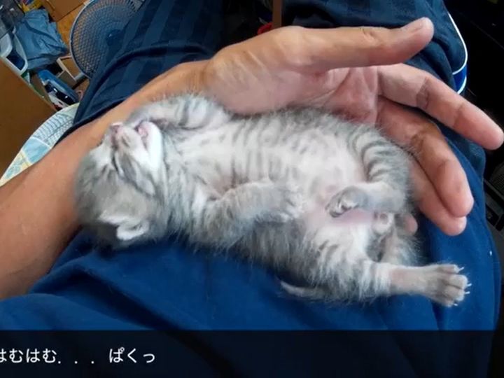 リラックスしてるね！