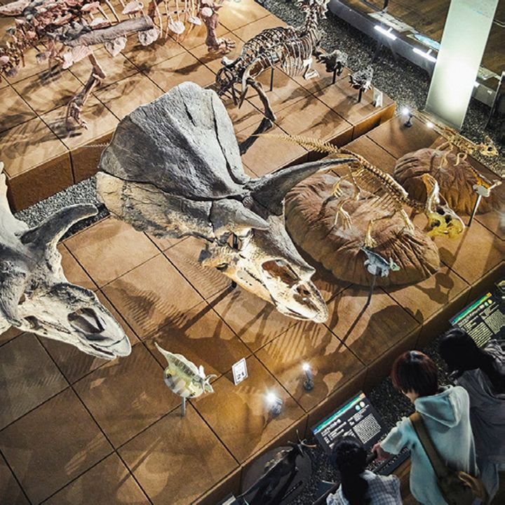 福井県立恐竜博物館。50体の全身骨格のうち10体は実物の化石を使用。