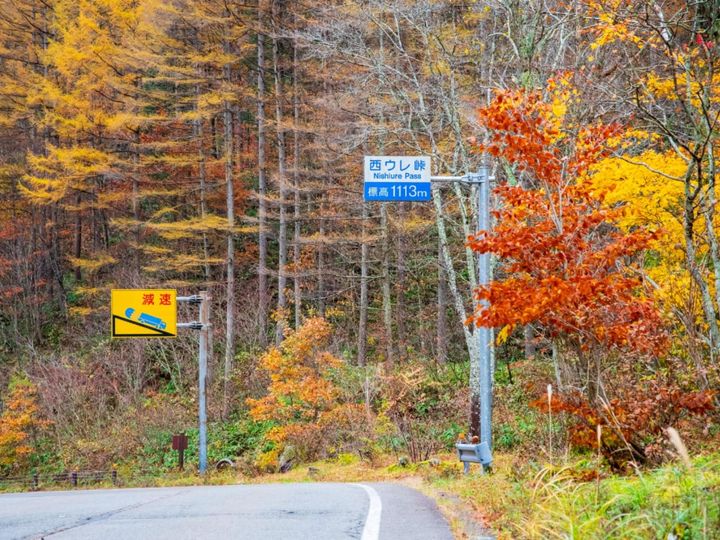 All About ニュース編集部が全国250人を対象に実施した「紅葉スポット」に関するアンケートの調査結果から、「好き＆行ってみたい岐阜県の紅葉スポット」ランキングを発表！ 2位「飛騨美濃せせらぎ街道」を抑えた1位は？