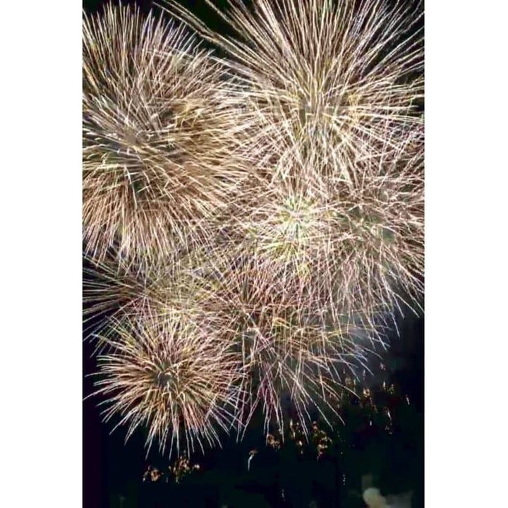 「静岡県の熱海海上花火大会。とにかく暑かった今年は、比較的出かけやすい夕方～夜の時間帯で夏を満喫しましたよ」