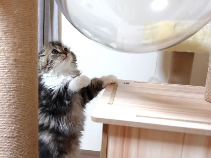 取り方を考え中…