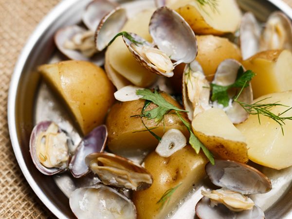 ワークマン展示会コーデがアツい！着る断熱材のXShelterが普段使いでも優秀すぎる！