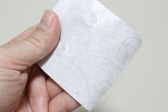 キャンドゥのぺたぺたホコリ取りシート 50枚5