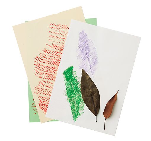 「フロッタージュ」で自分だけの秋の昆虫を工作しよう！【最新号からちょっと見せ】の画像2