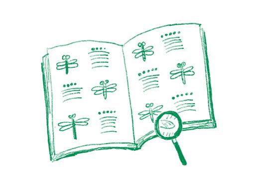 「フロッタージュ」で自分だけの秋の昆虫を工作しよう！【最新号からちょっと見せ】の画像4