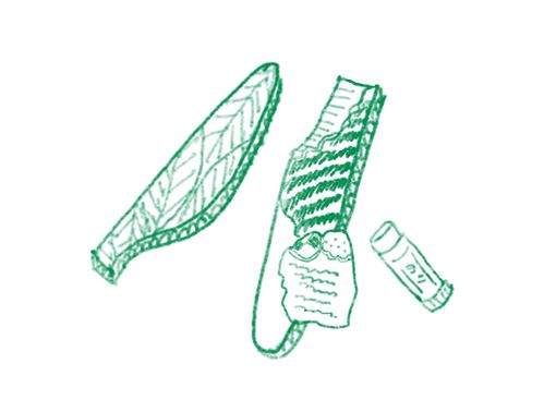 「フロッタージュ」で自分だけの秋の昆虫を工作しよう！【最新号からちょっと見せ】の画像6