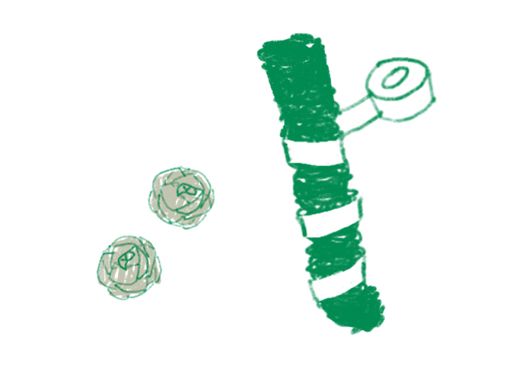 「フロッタージュ」で自分だけの秋の昆虫を工作しよう！【最新号からちょっと見せ】の画像7