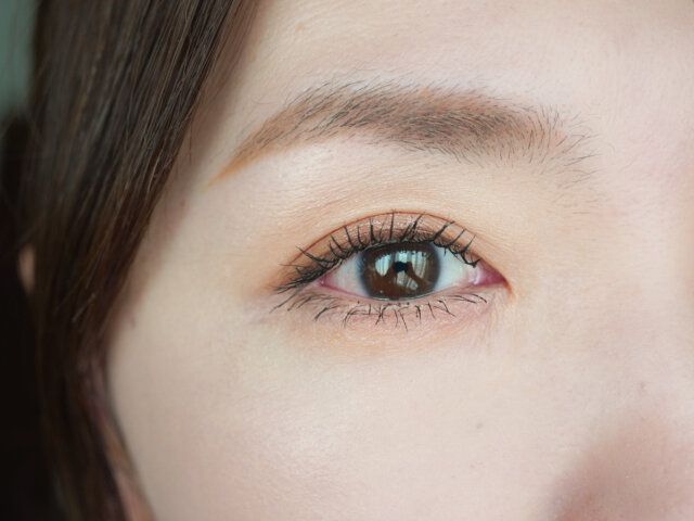 セザンヌ「ビタートーンアイシャドウ」01 オレンジガナッシュ 使用 完成