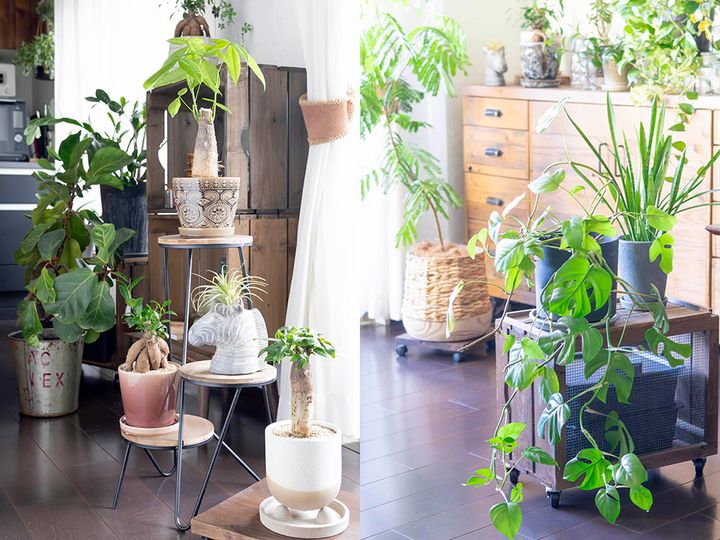 ラックやボックスで高低差をつける