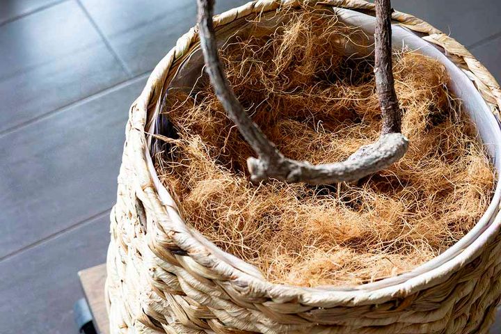 ココヤシファイバーなどのマルチング材