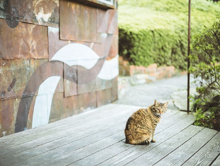 『蕎麦 にしむら』では、同じ町の標高1100mの高地で栽培した蕎麦粉を使用