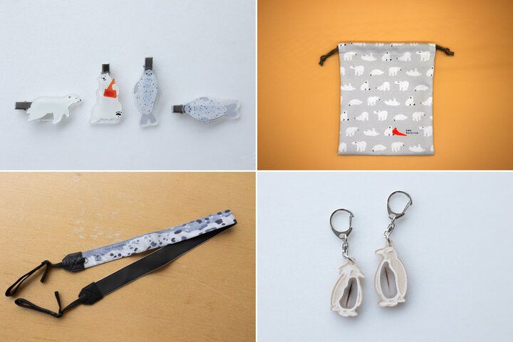 海を見渡す絶景の水族館♪海の生き物やホッキョクグマに癒やされる「男鹿水族館GAO」