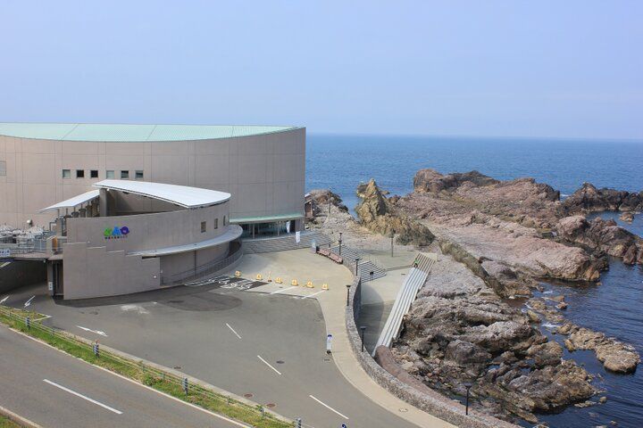 海を見渡す絶景の水族館♪海の生き物やホッキョクグマに癒やされる「男鹿水族館GAO」
