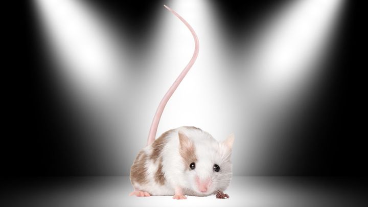 未来の健康法は『父親の運動』？