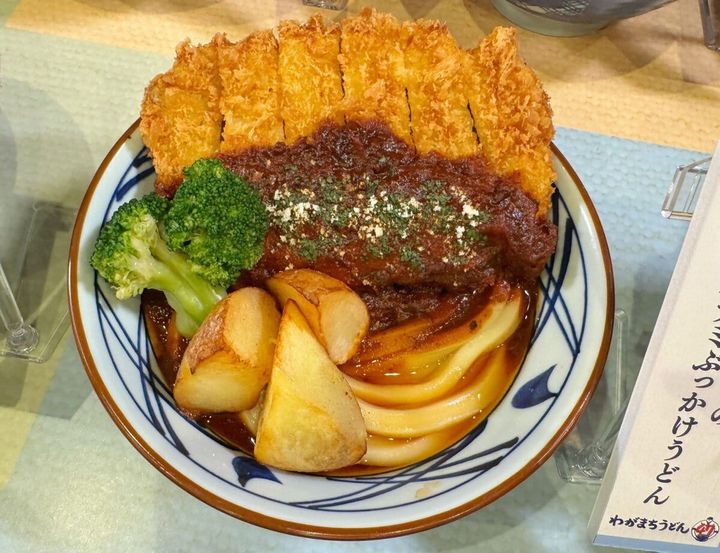 【群馬】手仕込みカツの濃厚デミぶっかけ