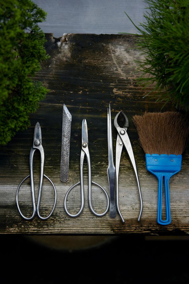 盆栽で使用する道具