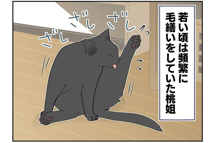 【マンガ・老猫日誌＃42】困ってたことを、しなくなると寂しくなる？19歳の元保護猫・桃姐