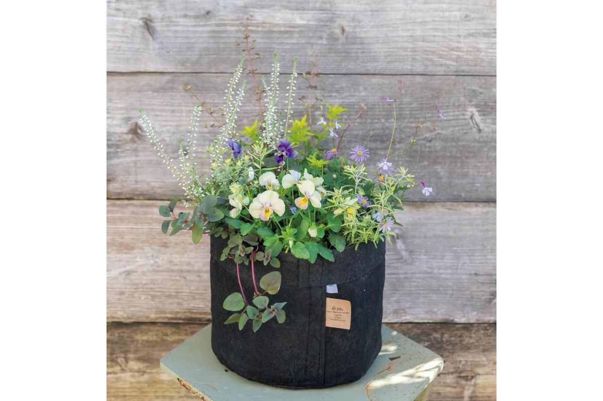 ＊ニュアンスカラーのビオラと小花の寄せ植えリース＊ ニュアンスカラーのビオラと小花の寄せ植えリース＊ ニュアンスカラー