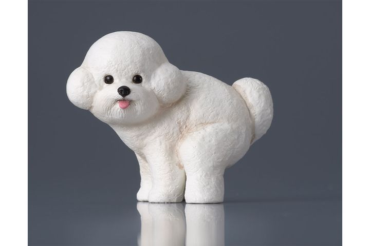 「ふんばり～ぬ２」／「ビションフリーゼ」