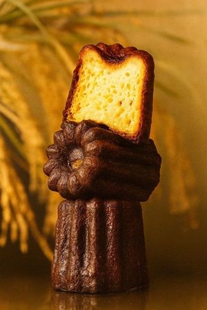 【兵庫県三田市】『誰かのために』から生まれた「グルテンフリーのシフォンケーキとカヌレ」が発売！