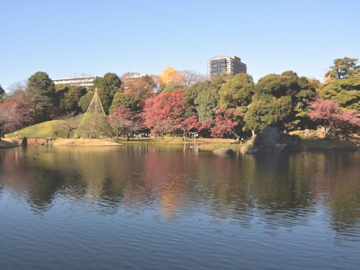 10月も下旬を迎え、都内でも秋の訪れを感じる季節になりました。