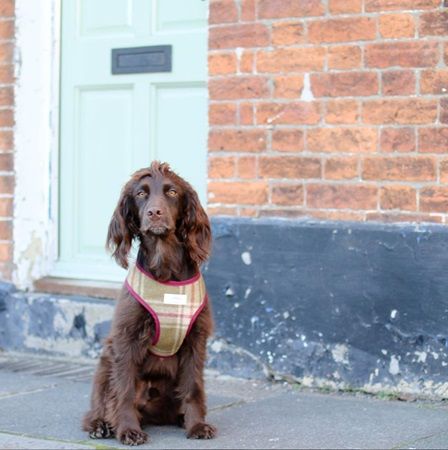 「ヴァルカナイズ・ロンドン」に英国の「D.R. HARRIS」と「The Hettie」が初出店！