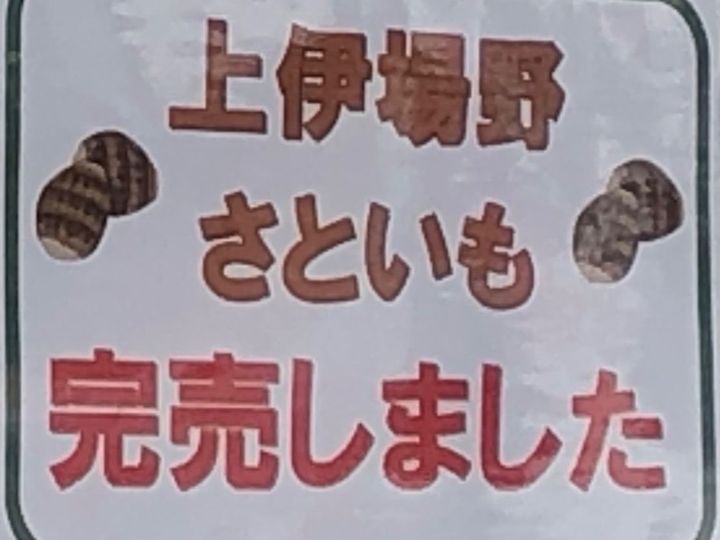 里芋を購入し、他のお店を覗いていると…