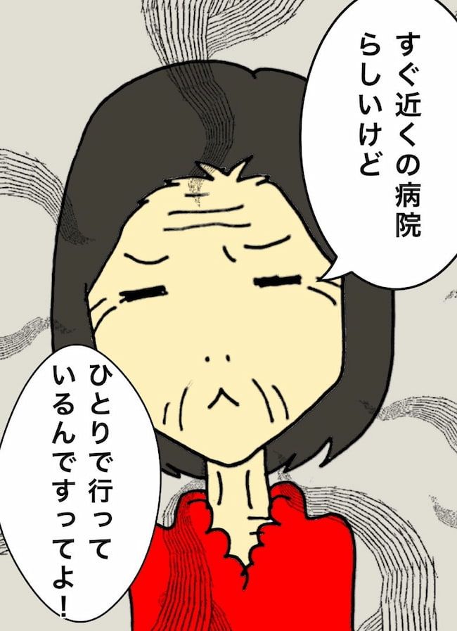 母の認知症介護日記／ワフウフ