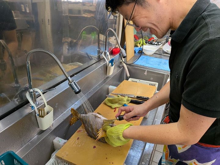 自分で開発した「魚さばき手袋」（マルカマで販売中）をはめてタカノハダイの鱗を除去している筆者。笑っちゃうほど取りづらい