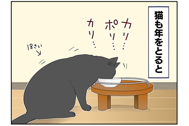 【マンガ・老猫日誌＃43】老猫の奇跡？な出来事〜19歳の元保護猫・桃姐
