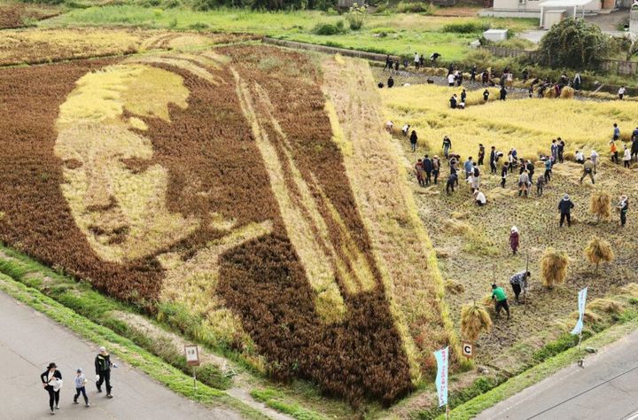 7人組男性アイドルグループ・なにわ男子の公式インスタグラムアカウントは27日、投稿を更新。メンバーの大橋和也さん(28)は、コスプレ姿を公開し、反響を呼んでいます。