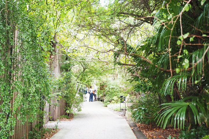 森に溶け込む築450年の古民家レストランでゆったりランチ♪ 湘南唯一の蔵元が営む「モキチ トラットリア」