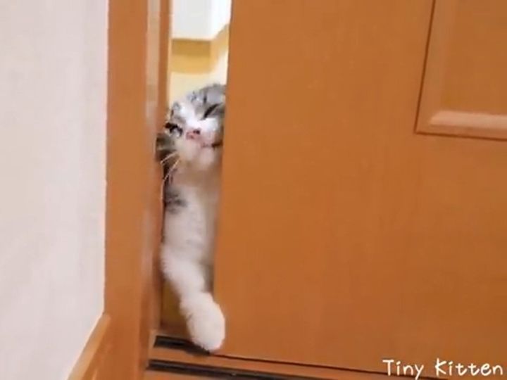 顔がムギュッ！