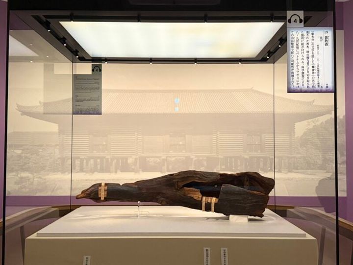 第77回正倉院展 中倉135「黄熟香（おうじゅくこう）」