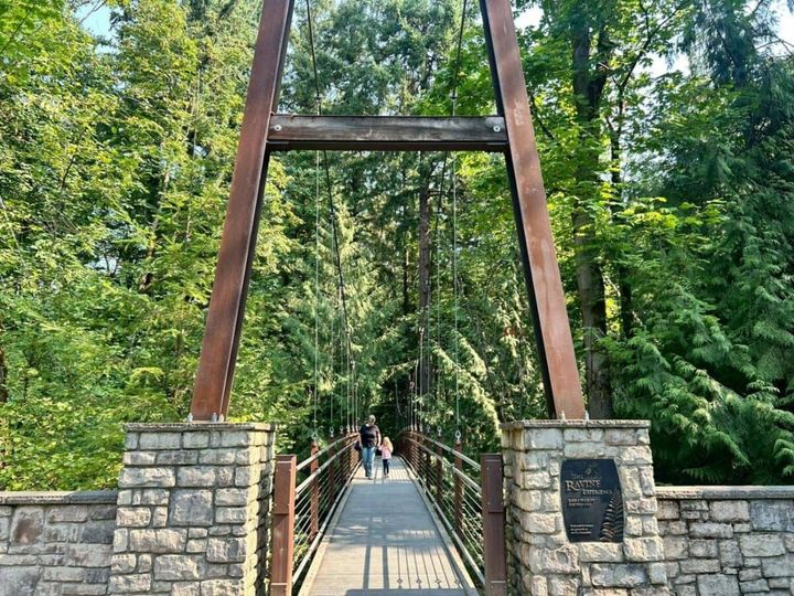 植物園のつり橋